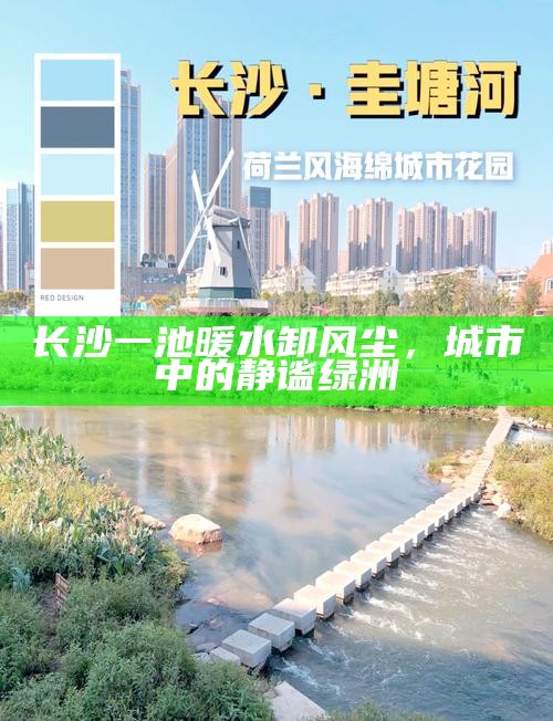 长沙一池暖水卸风尘，城市中的静谧绿洲
