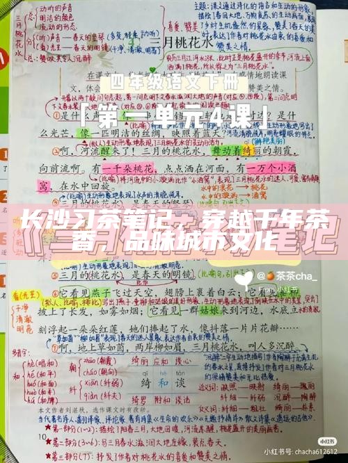 长沙习茶笔记，穿越千年茶香，品味城市文化